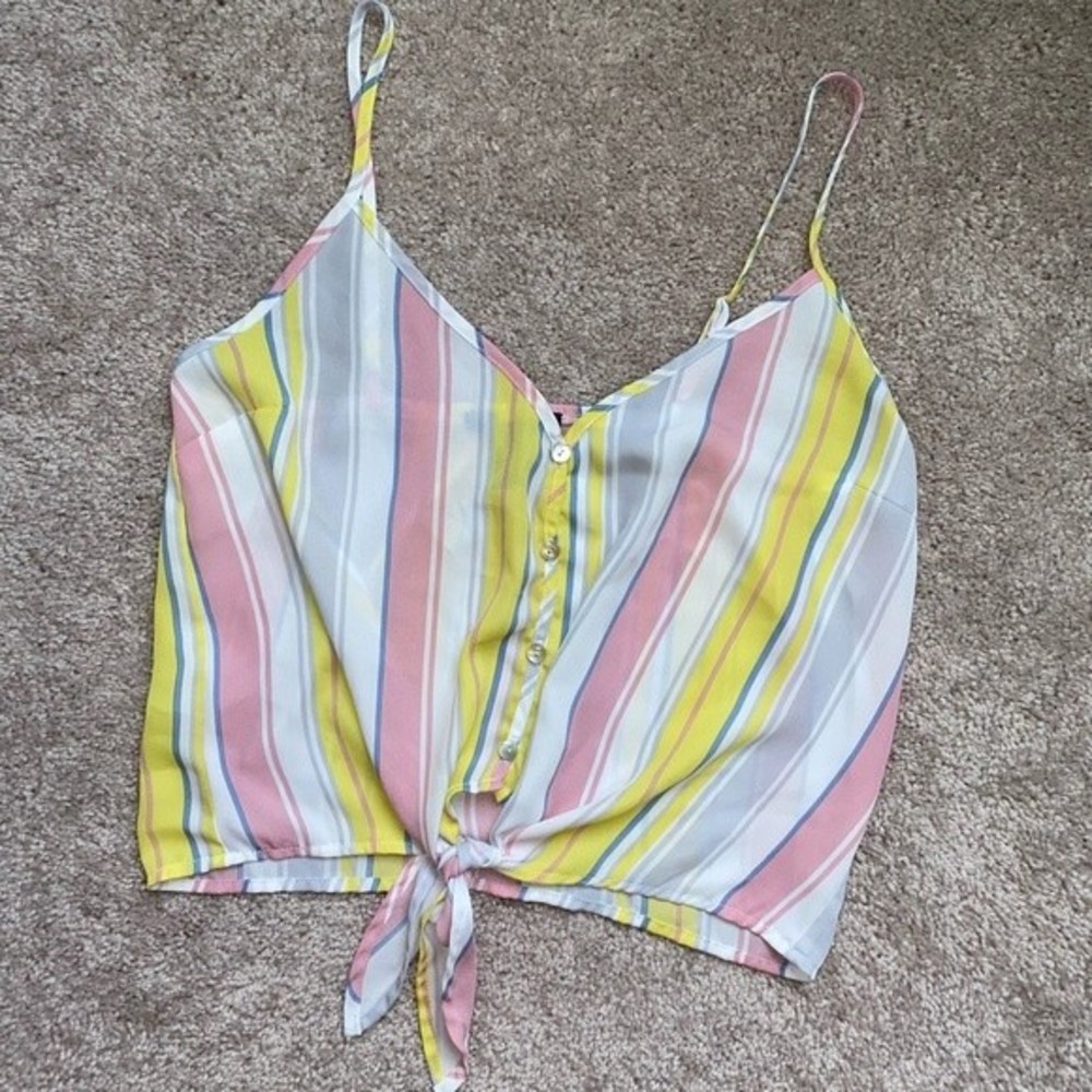Pastel Striped Crop Top.